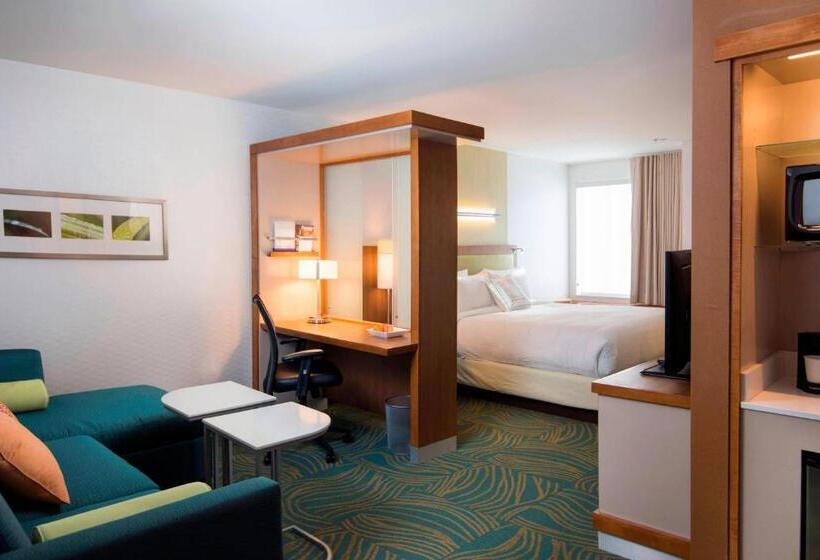 酒店 Springhill Suites By Marriott Wisconsin Dells