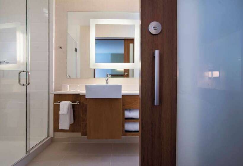 酒店 Springhill Suites By Marriott Wisconsin Dells