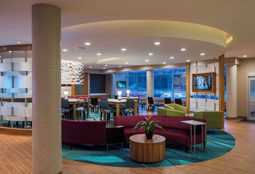 酒店 Springhill Suites By Marriott Wisconsin Dells