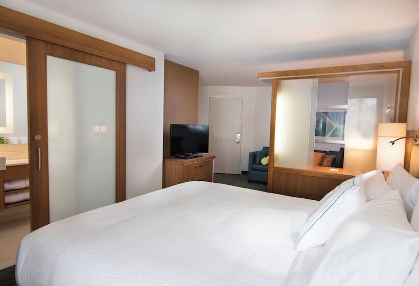 酒店 Springhill Suites By Marriott Wisconsin Dells