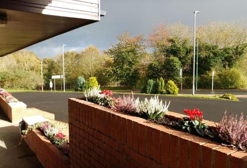 בית מלון כפרי Swan Studios