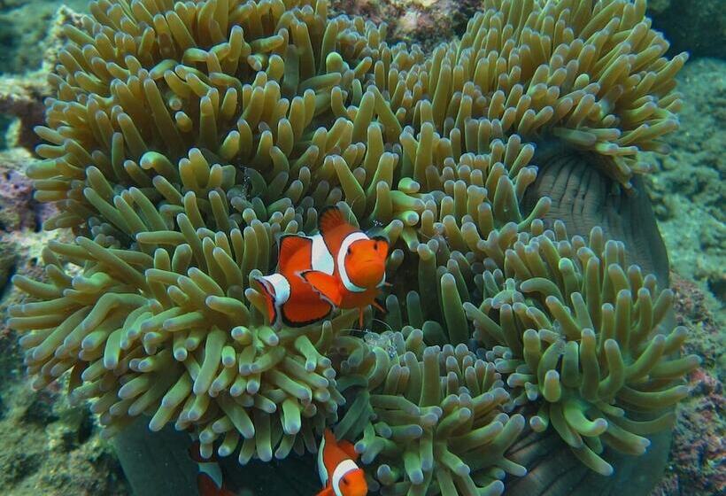 호텔 Ten Moons Lipe Resort