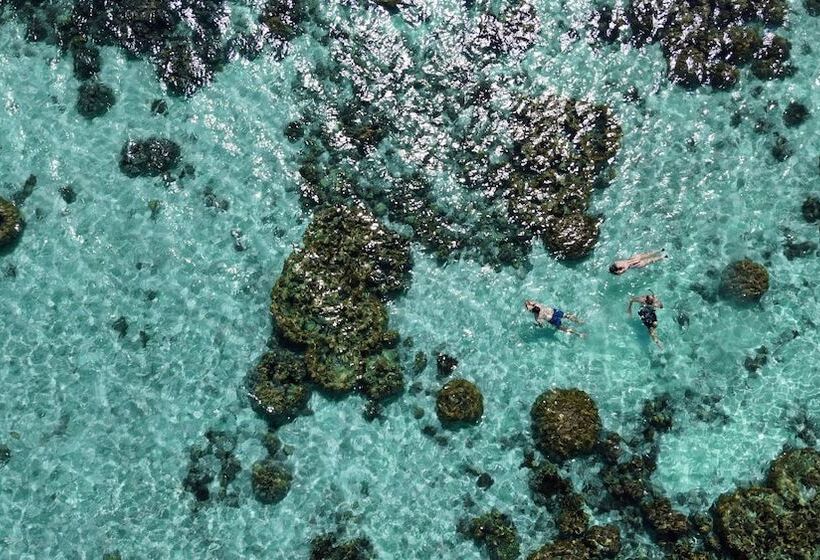 فندق The Cliff Lipe