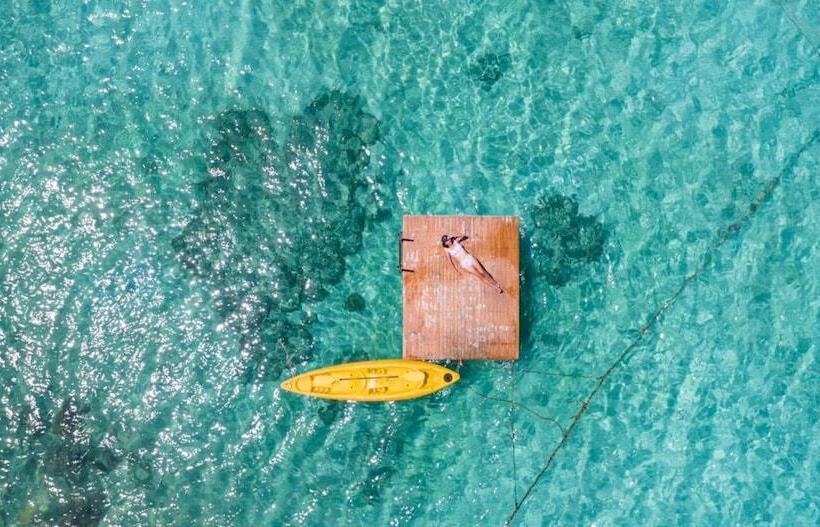 فندق The Cliff Lipe