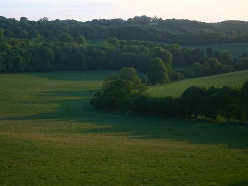 ホテル The Fat Fox