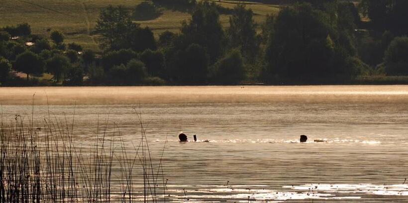Отель Turnersee