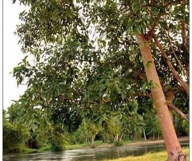 فندق Worawee Resort & Spa