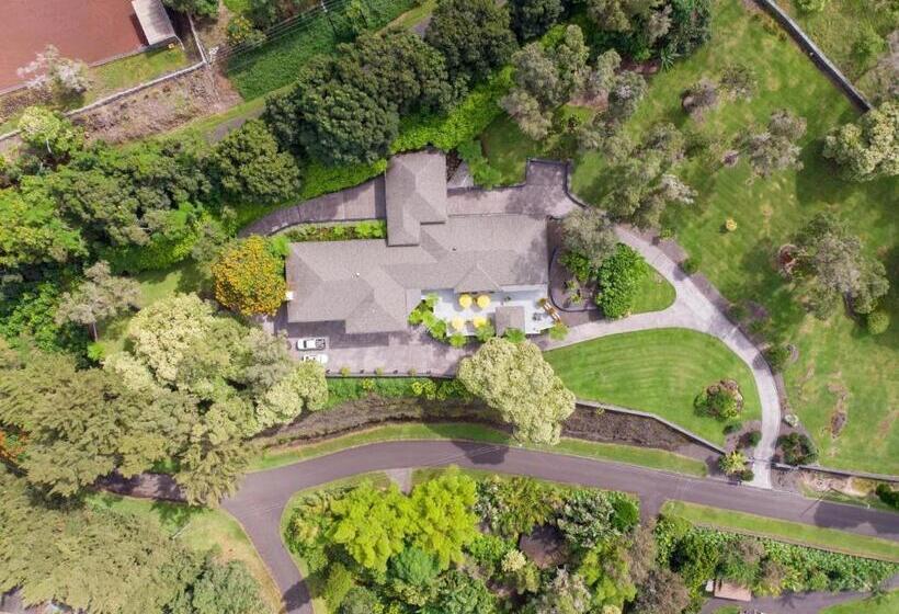 Ohia Kona Estates   An All Suites B&b