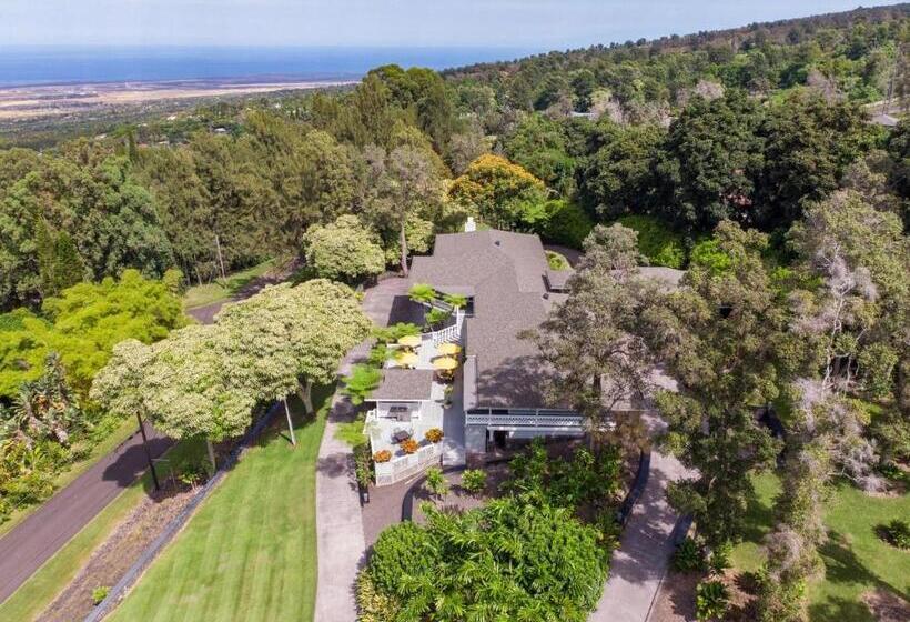 Ohia Kona Estates   An All Suites B&b