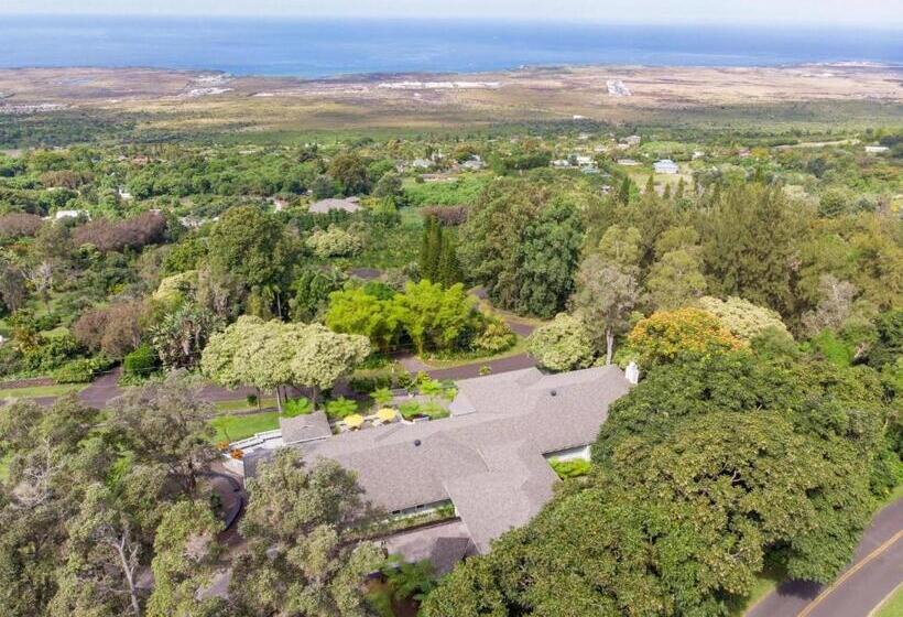 Ohia Kona Estates   An All Suites B&b