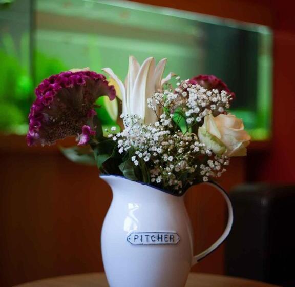 پانسیون Shaftoe S Bed And Breakfast