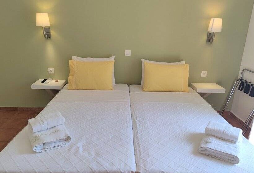 Пансион Twin House