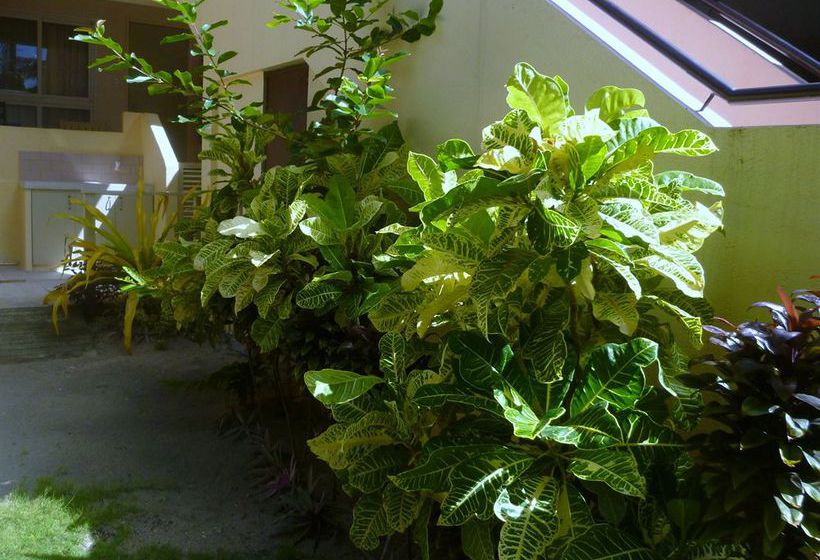 منتجع Sunday Flower