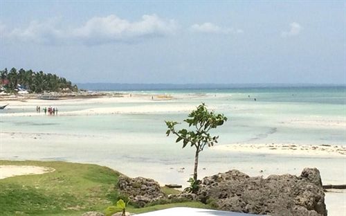 منتجع Sunday Flower