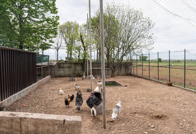 Отель Agriturismo Pozzo Fiorito