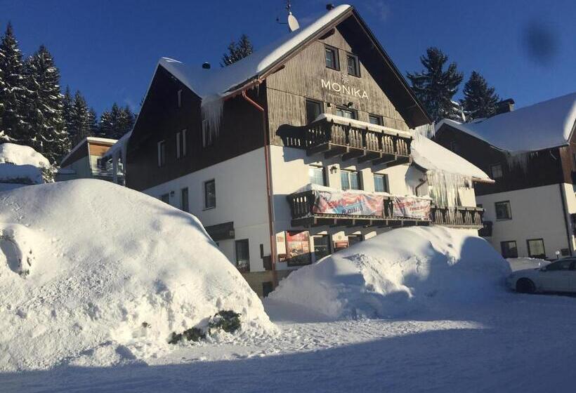 Pension And Apartments Monika