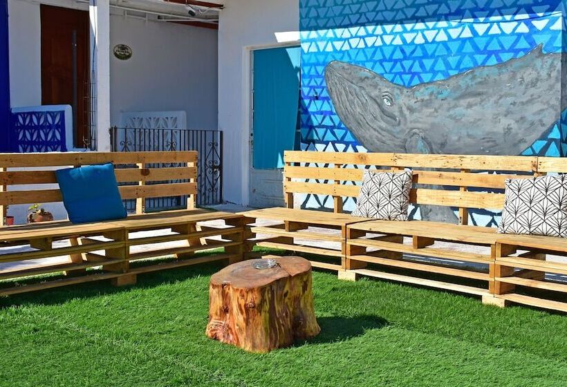 酒店 Blue Home Vallarta