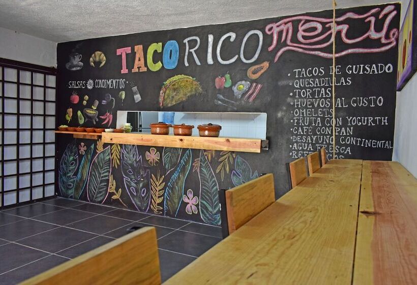 酒店 Blue Home Vallarta