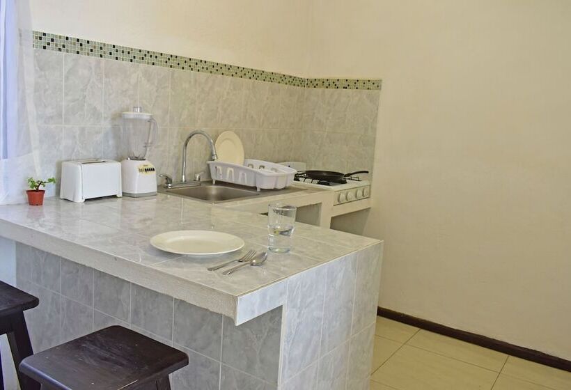 酒店 Blue Home Vallarta