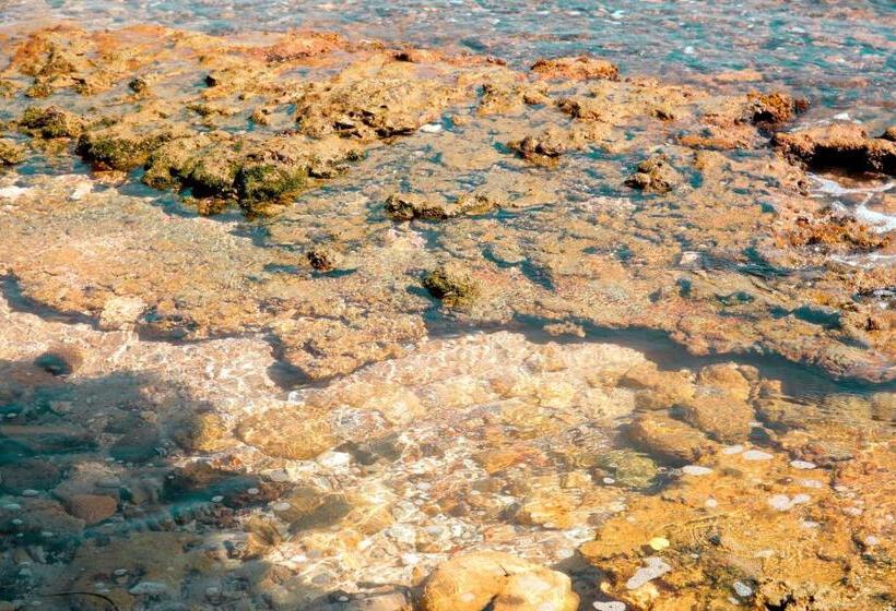 酒店 Pearl Mirissa