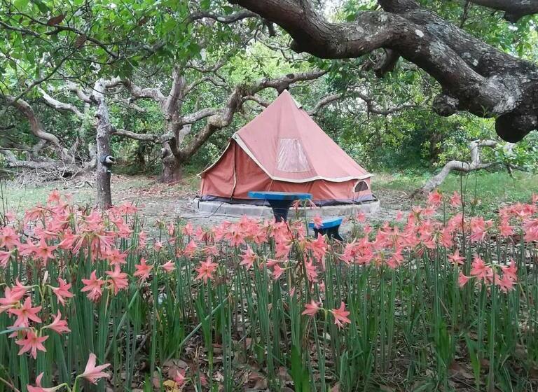 פנסיון Cashew Nut Bungalow, Ko Mook