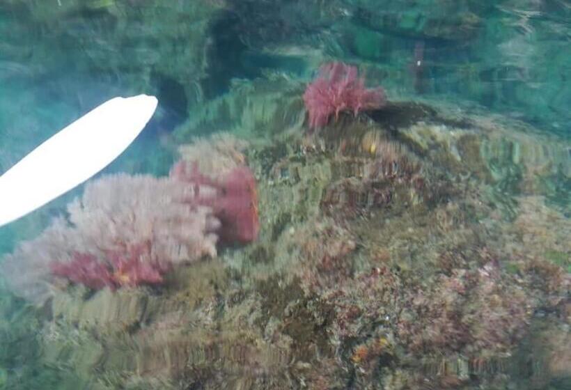 بنسيون Cashew Nut Bungalow, Ko Mook