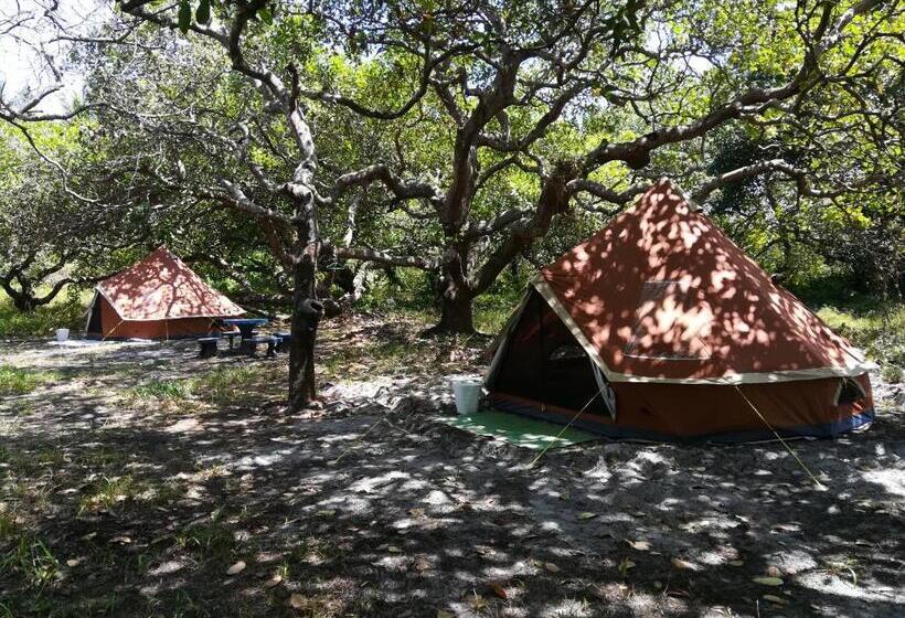 פנסיון Cashew Nut Bungalow, Ko Mook