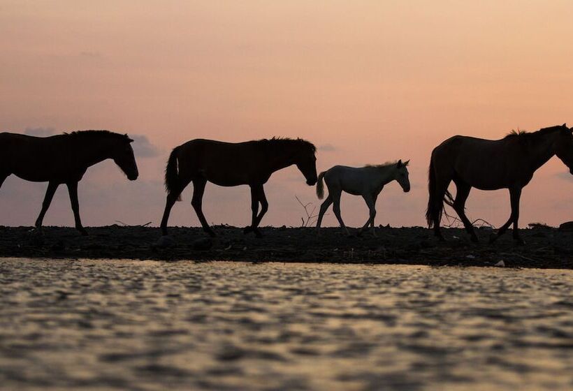 בית מלון כפרי Bird Of Paradise