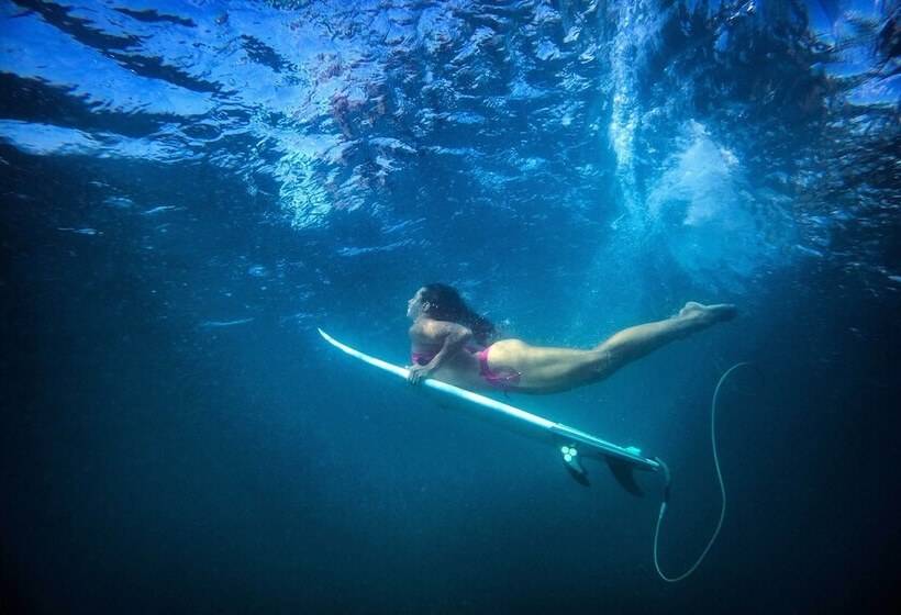 בית מלון כפרי Bird Of Paradise