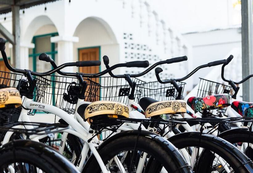 בית מלון כפרי Bird Of Paradise