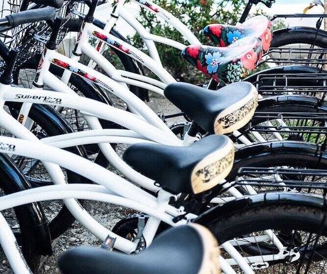 בית מלון כפרי Bird Of Paradise