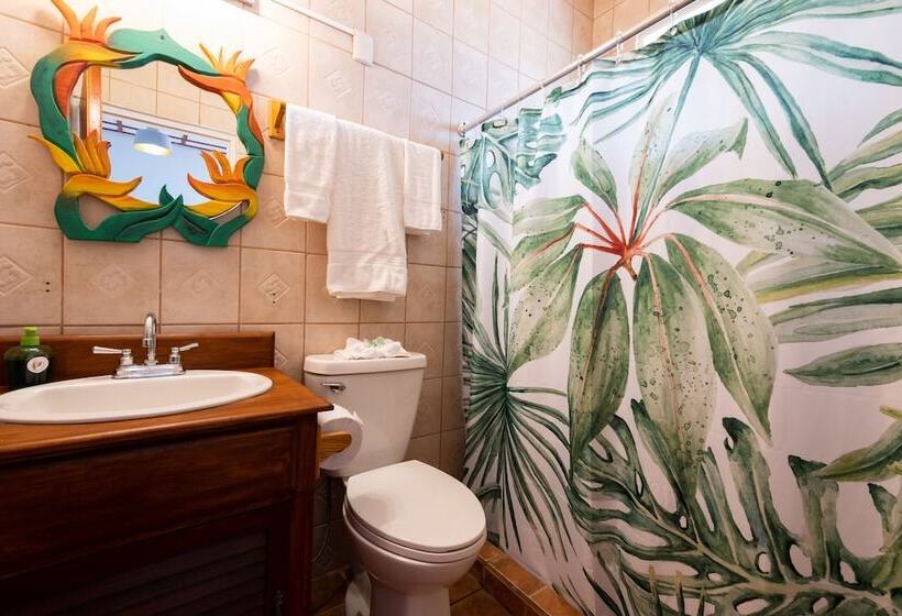 בית מלון כפרי Bird Of Paradise