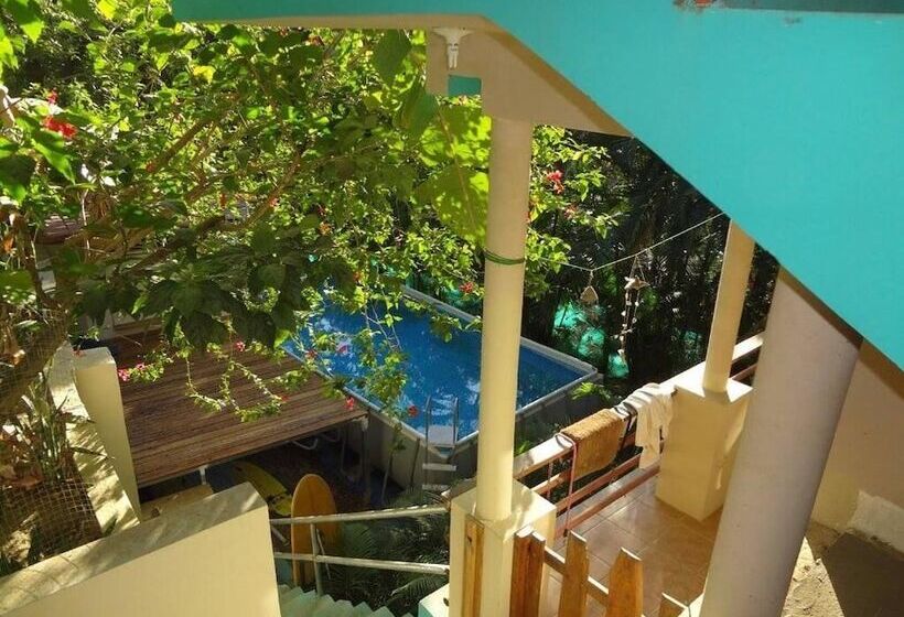 호텔 Burnt Toast Surf Camp   Hostel