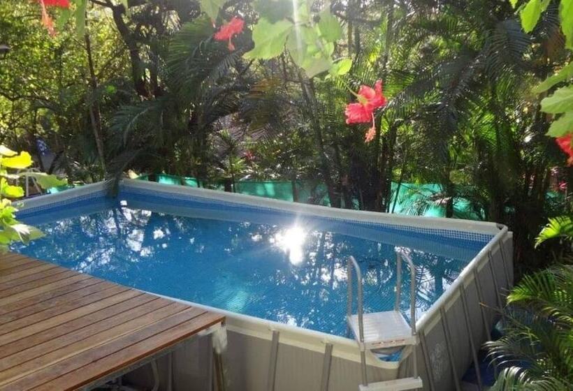 호텔 Burnt Toast Surf Camp   Hostel