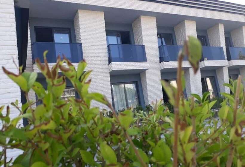 Отель Dedeman Kemer Resort Ultra All Inclusive