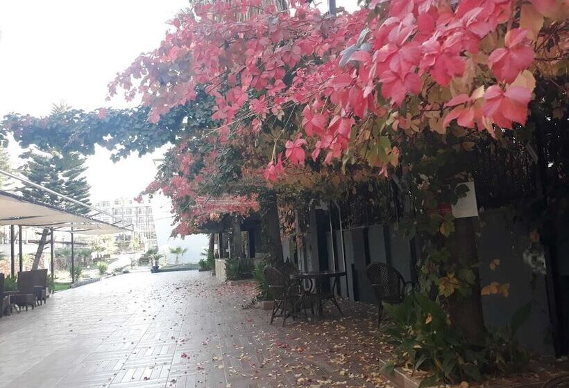 هتل Dedeman Kemer Resort   Ultra All Inclusive