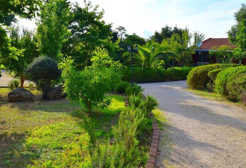 Отель Dendrolivano