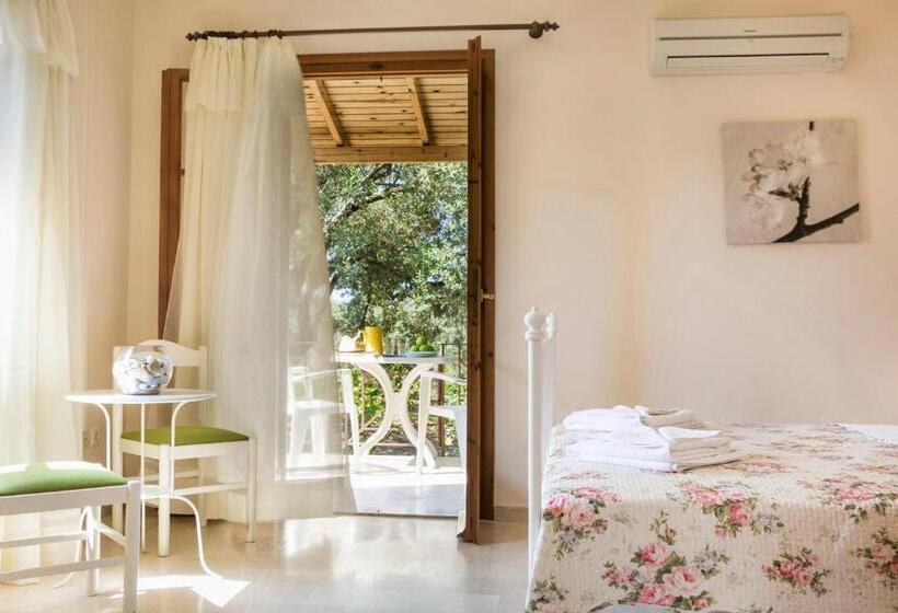 Отель Dendrolivano