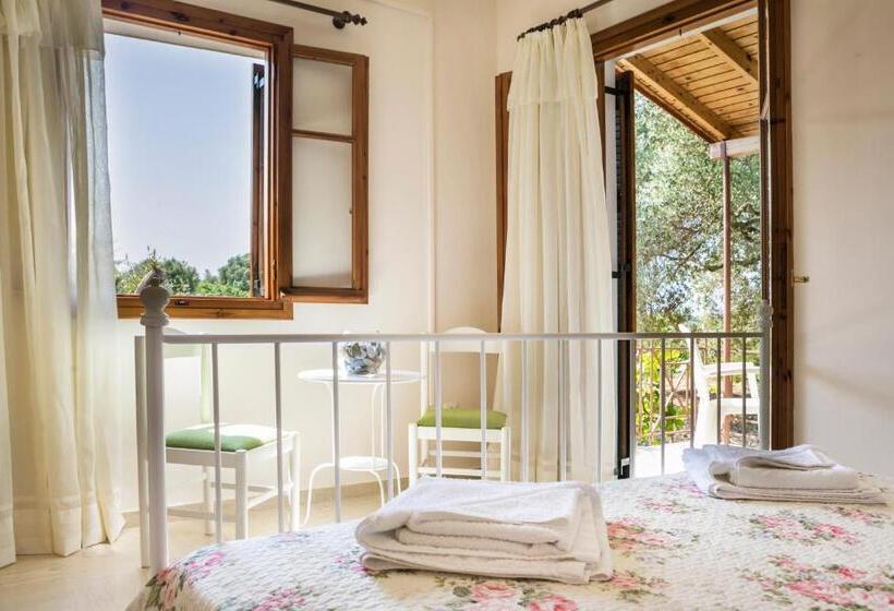 Отель Dendrolivano