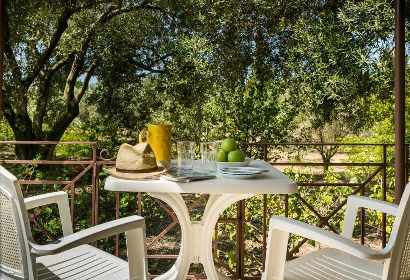 Отель Dendrolivano