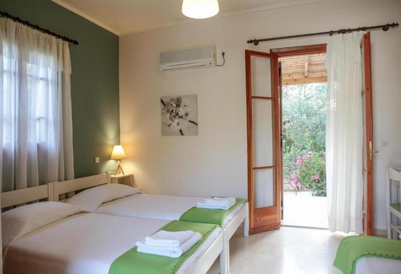 Отель Dendrolivano