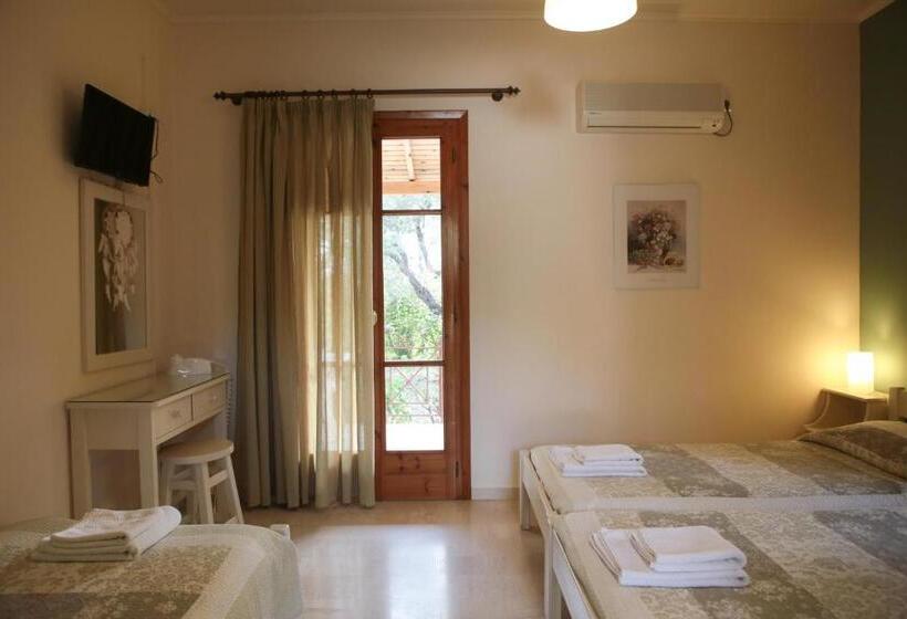 Отель Dendrolivano