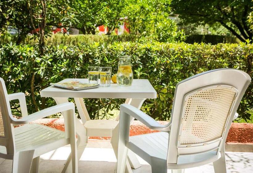 Отель Dendrolivano