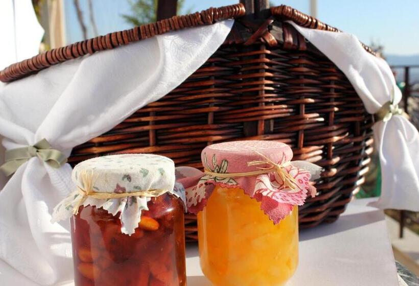 Отель Dendrolivano