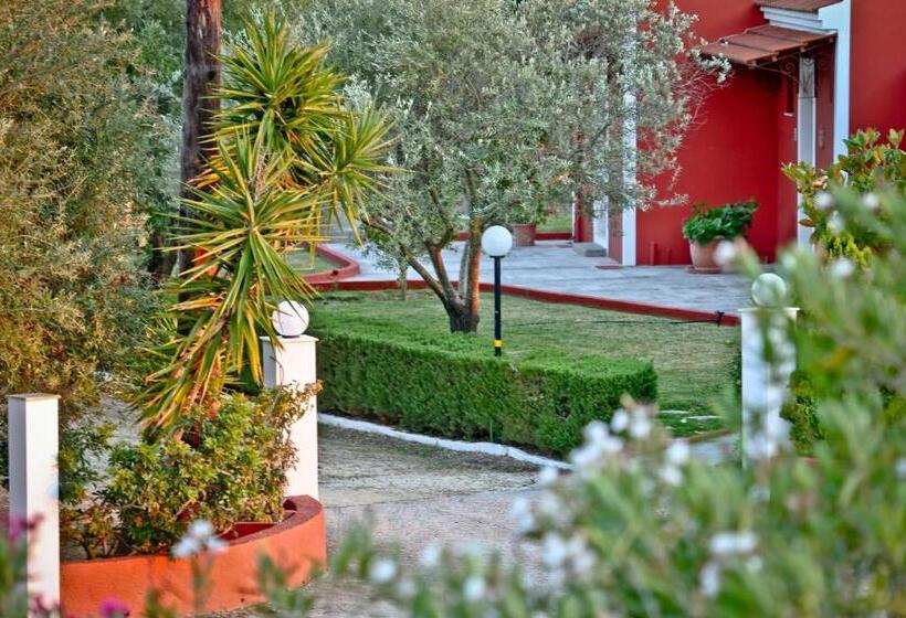 Отель Dendrolivano