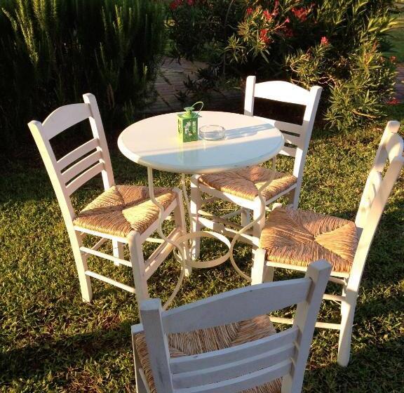 Отель Dendrolivano