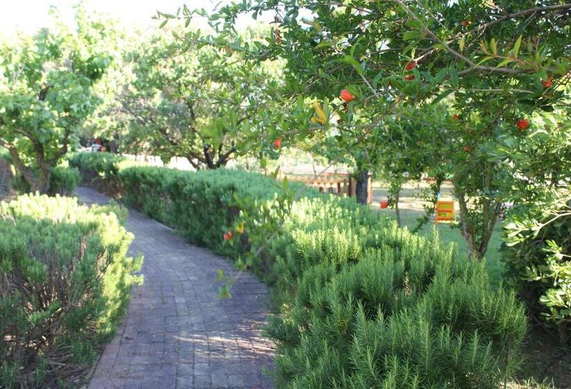 Отель Dendrolivano