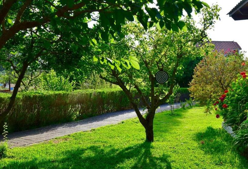 Отель Dendrolivano