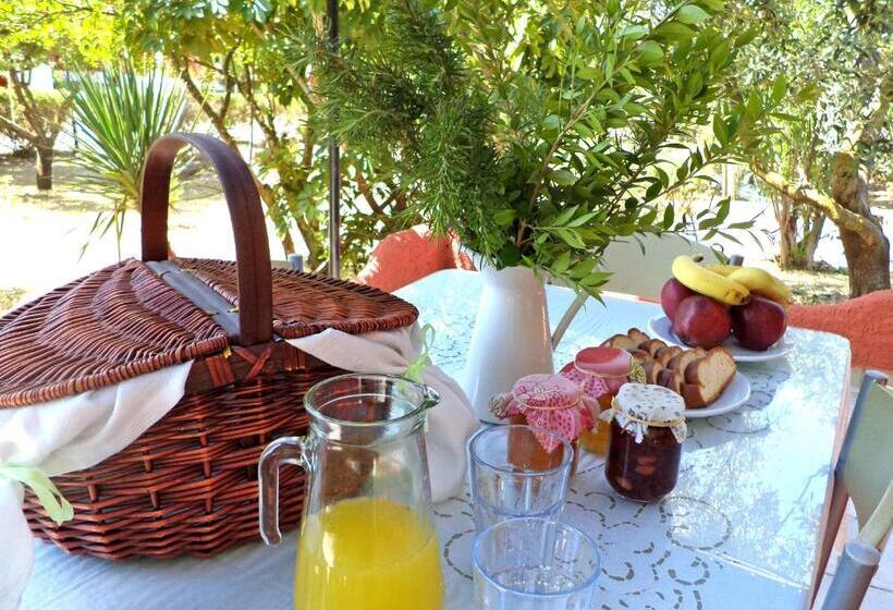 Отель Dendrolivano