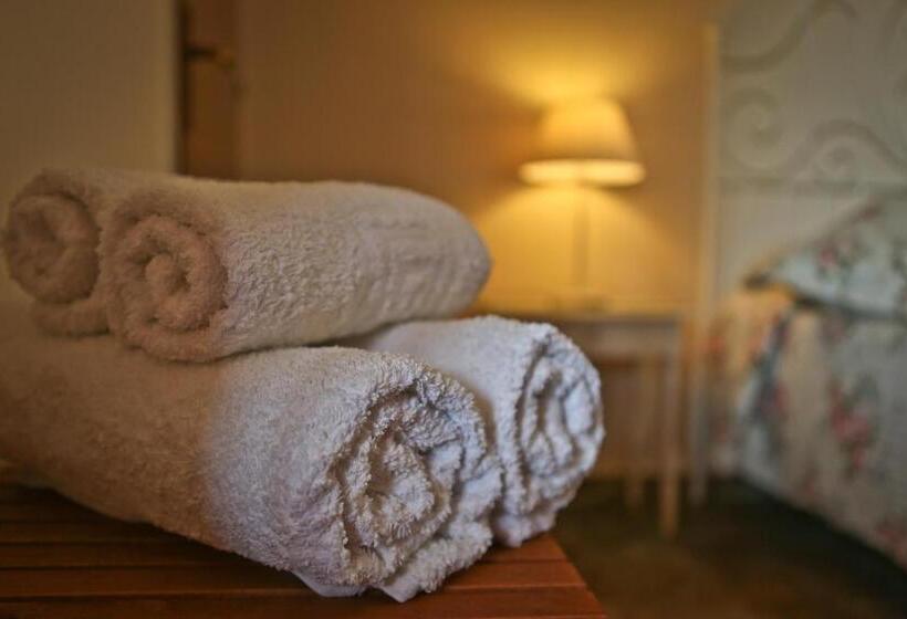 Отель Dendrolivano